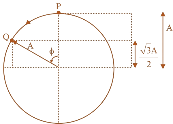 Phasor diagram for SHM positions for Q55